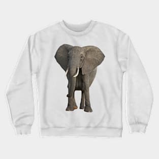 Elephant Crewneck Sweatshirt